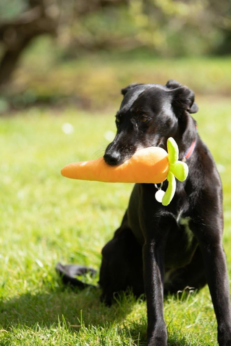 Foodie Faces Fluffy Carrot Dog Toy