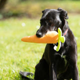 Foodie Faces Fluffy Carrot Dog Toy