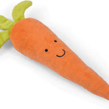 Foodie Faces Fluffy Carrot Dog Toy