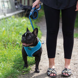 Retractable Dog Leash - Extending Tape Cord Available in 3M, 5M, and 8M, Supports Up to 50kg 