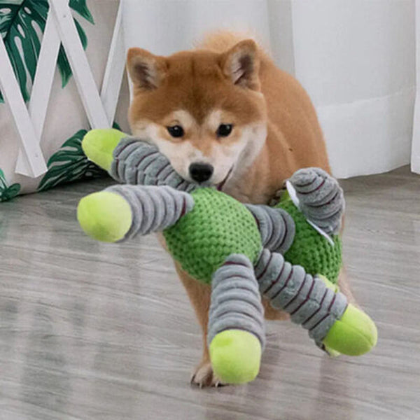Tough Play Dog Toy for Small & Medium Dogs | Squeaky Fun | Durable and Chew-Resistant for Long-Lasting Play