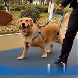 5FT Braided Rope Leash for Dogs | Strong Reflective Lead | Soft Comfort Grip | Medium/Large Dog Walks