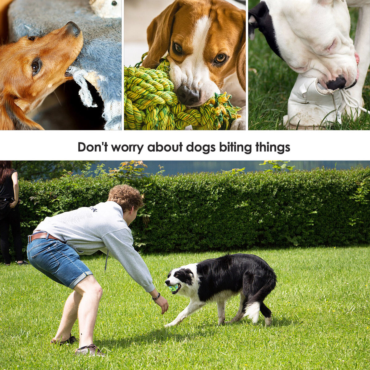 Funny Wobble Wag Giggle Ball Dog Play Training Pet Toy with Sound Hot No Harm