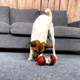 Slow Feeder & Play | Interactive IQ Ball for Small and Medium Pets