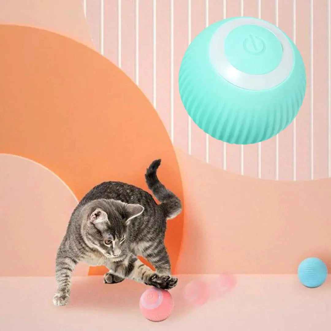 Keep Kittens Engaged | Self-Moving Cat Anxiety Ball for Active & Happy Pets