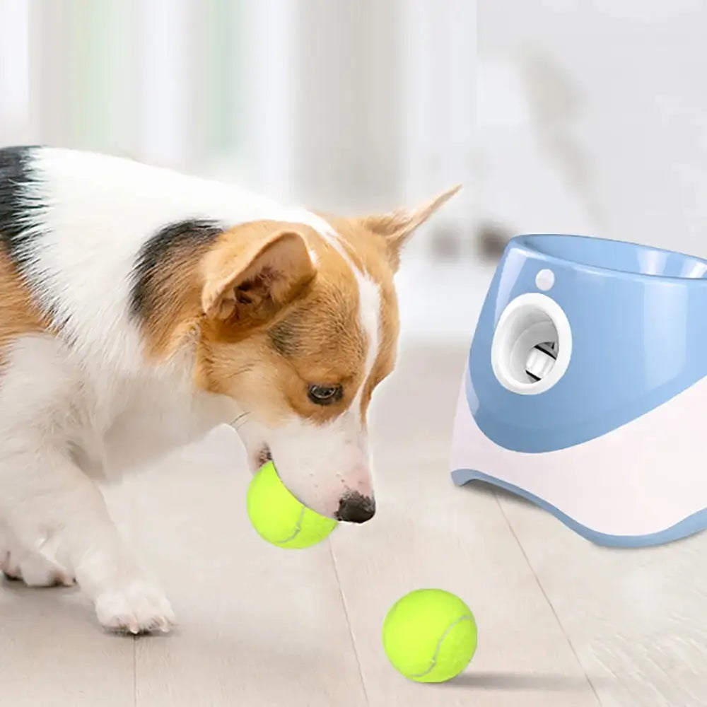 Dog-Friendly Tennis Ball Launcher | Engage & Train with Adjustable Range