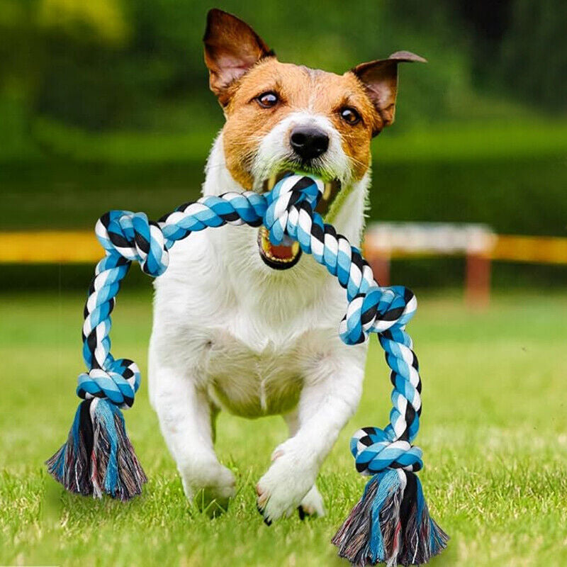 Premium Tug of War Rope | XXL Rope Toy for Large Dogs’ Teeth Cleaning