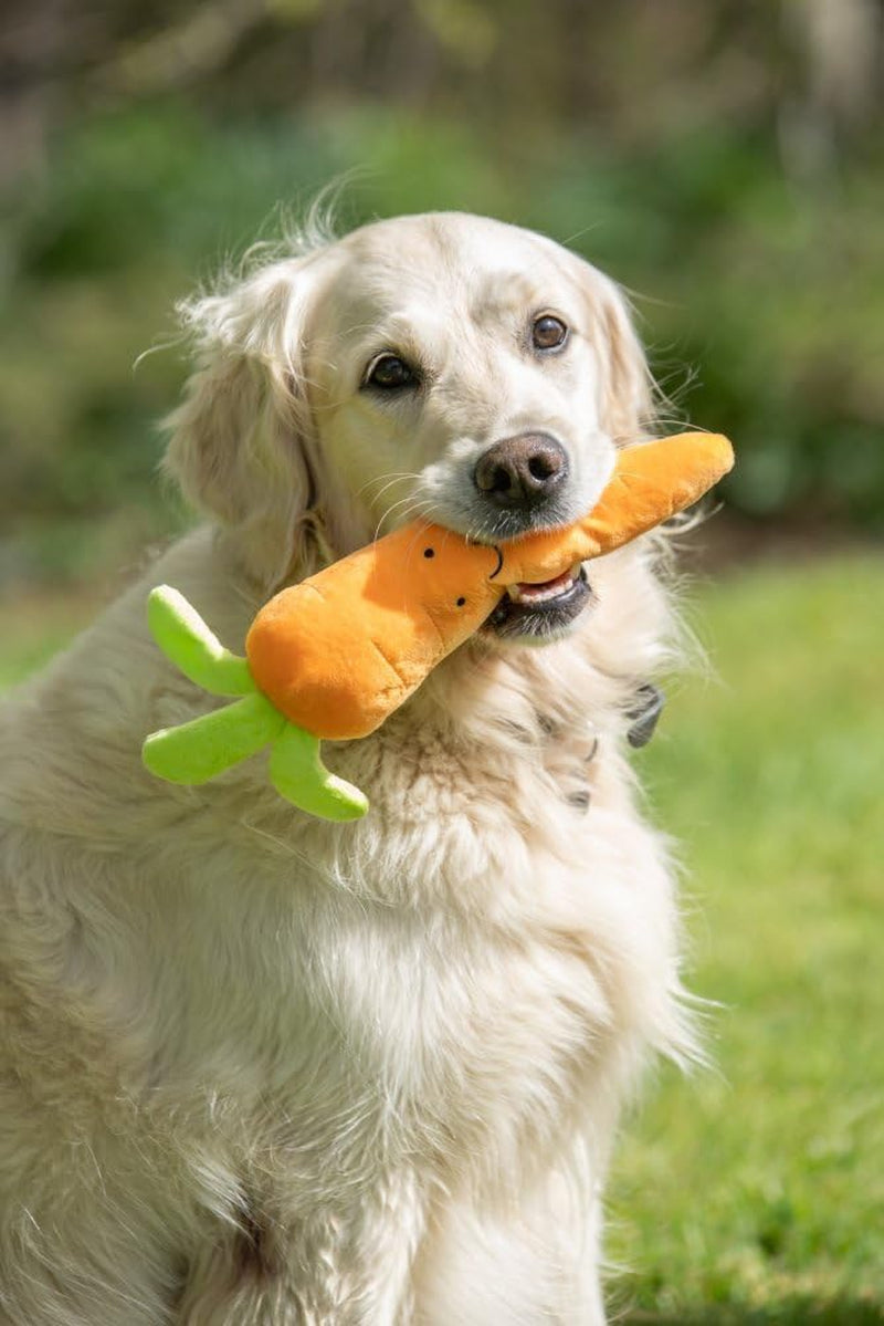 Foodie Faces Fluffy Carrot Dog Toy