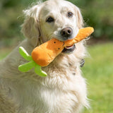 Foodie Faces Fluffy Carrot Dog Toy