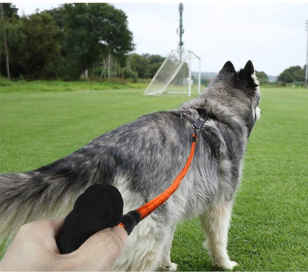 5FT Braided Rope Leash for Dogs | Strong Reflective Lead | Soft Comfort Grip | Medium/Large Dog Walks