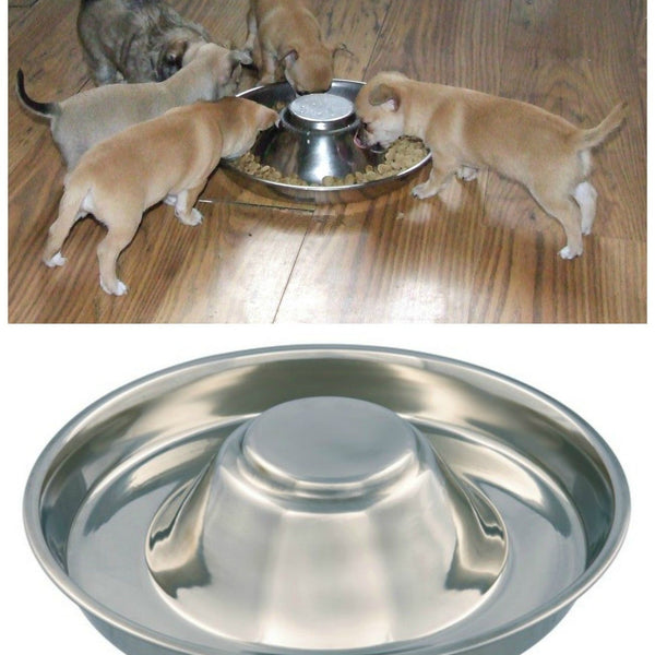 Puppy Weaning Bowl | Stainless Steel Pet Dish | Feeding Bowl for Dogs, Cats, and Litter Feeding