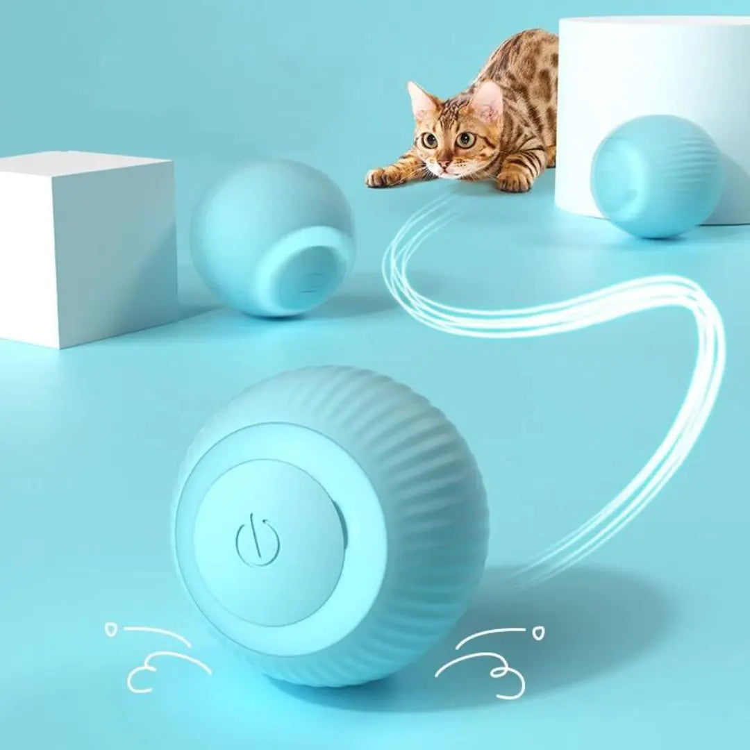 Keep Kittens Engaged | Self-Moving Cat Anxiety Ball for Active & Happy Pets